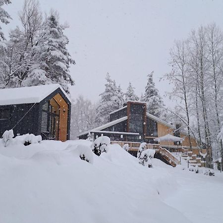Hotel Saint Constantine Mountain Retreat à Pechtera Extérieur photo
