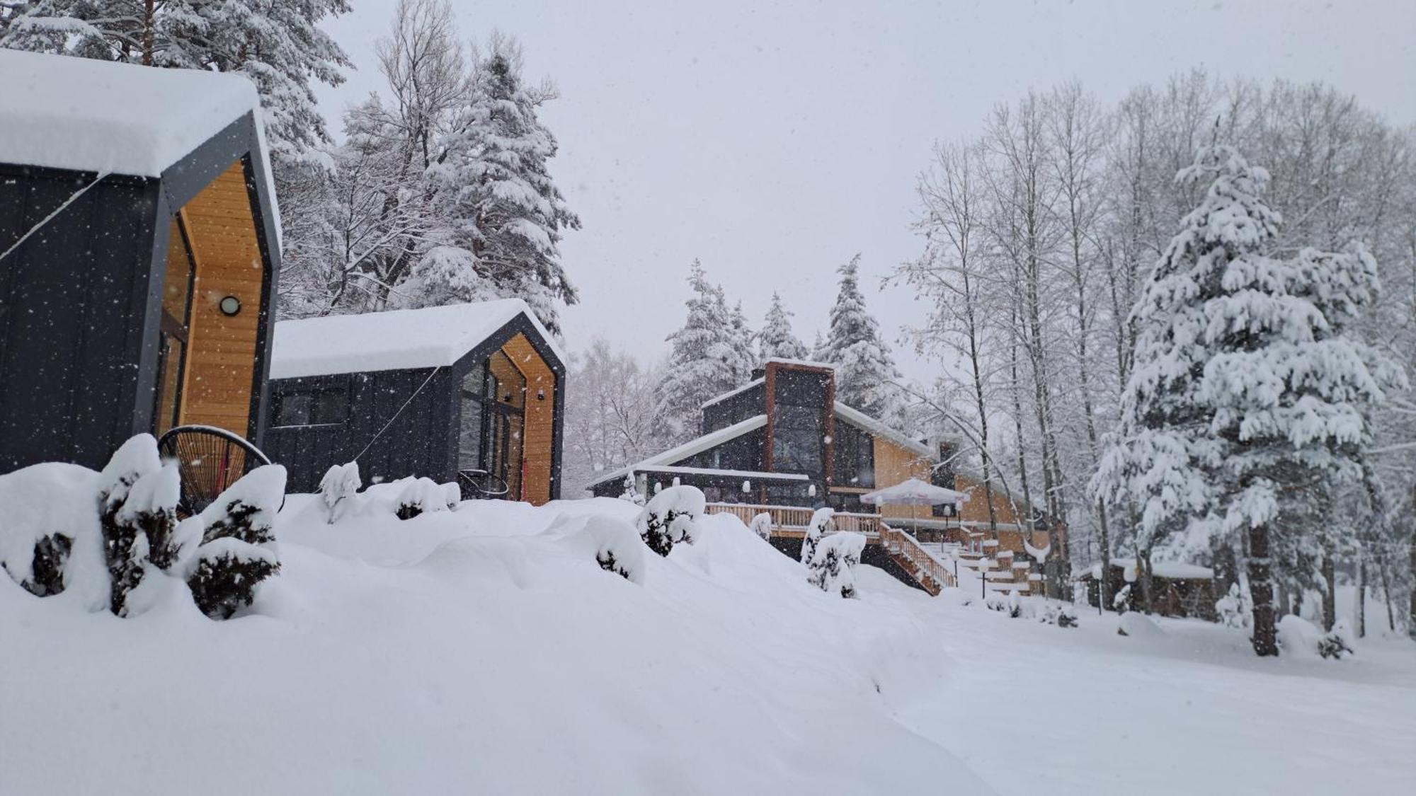 Hotel Saint Constantine Mountain Retreat à Pechtera Extérieur photo